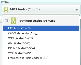 convert video to audio