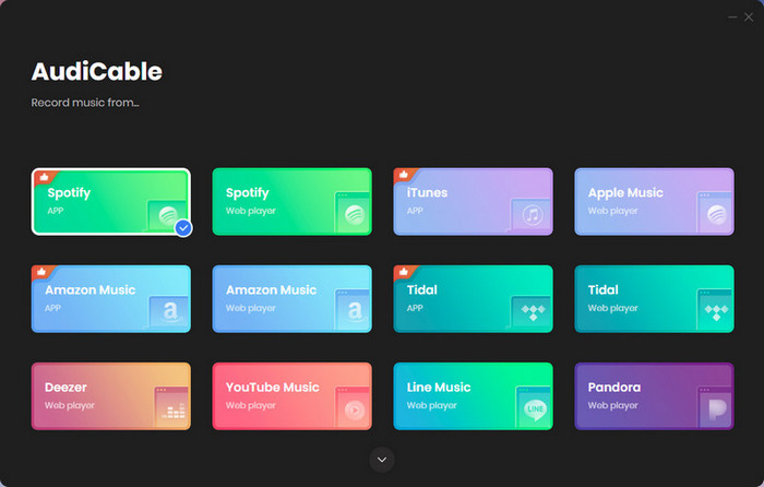AudiCable Streaming Music Recorder