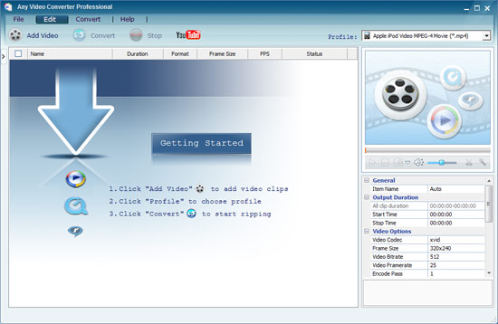 Any Video Converter Interface